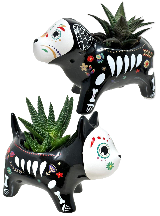 Day of the Dead Cat and Dog Succulent